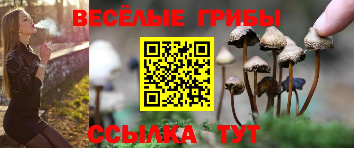 Псилоцибиновые грибы мицелий  Вход с VPN  Рыбинск 